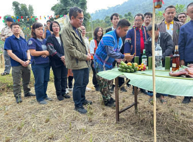งานสืบสานประเพณีท้องถิ่นกินข้าวใหม่ชาวไทยภูเขา ... พารามิเตอร์รูปภาพ 5